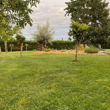 Superbe Maison En Pierre Proche Bordeaux &piscine * Saint-Martin-Petit