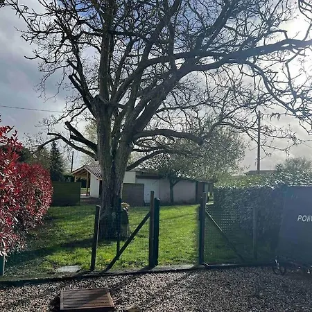 Holiday home Superbe Maison En Pierre Proche Bordeaux &piscine *